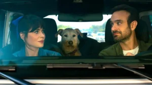 Leia mais sobre o artigo 6 Filmes com Cachorros que Provam Porque Eles são tão Especiais para Nós