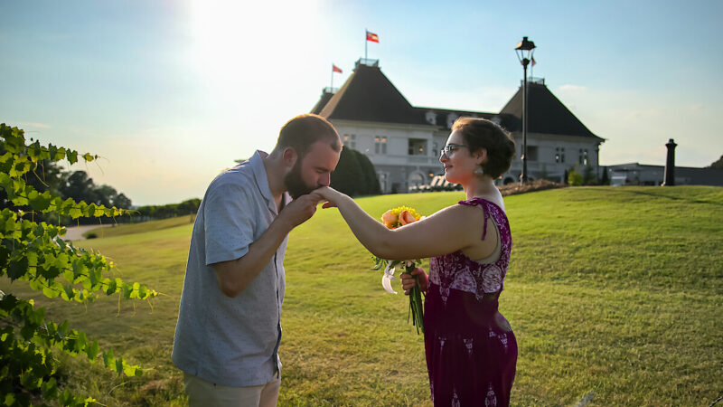 estreias da semana streaming março abril 2026