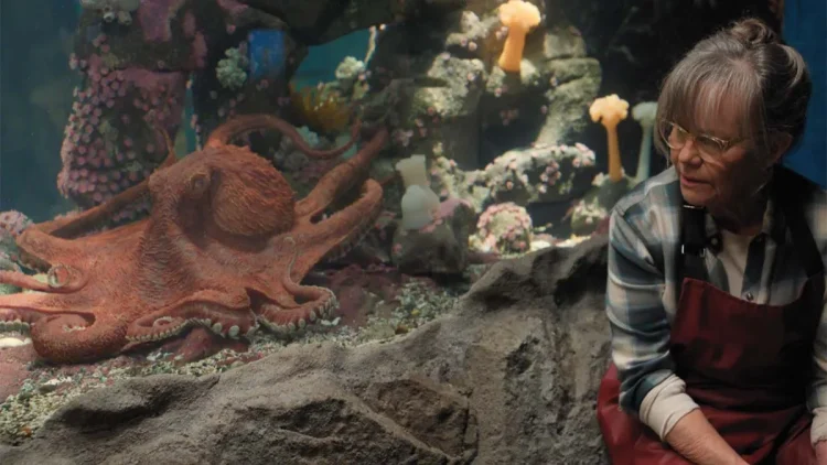 A personagem Tova olhando para o polvo gigante Marcellus em um aquário, revelando a conexão que explica o significado de Criaturas Extraordinariamente Brilhantes.