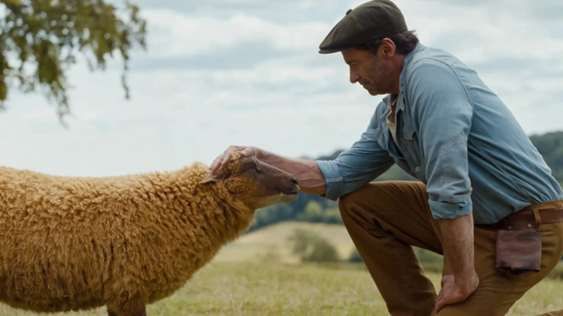O ator Hugh Jackman ajoelhado em um campo aberto enquanto faz carinho na cabeça de uma ovelha lanuda de cor caramelo durante cena de "As Ovelhas Detetives".