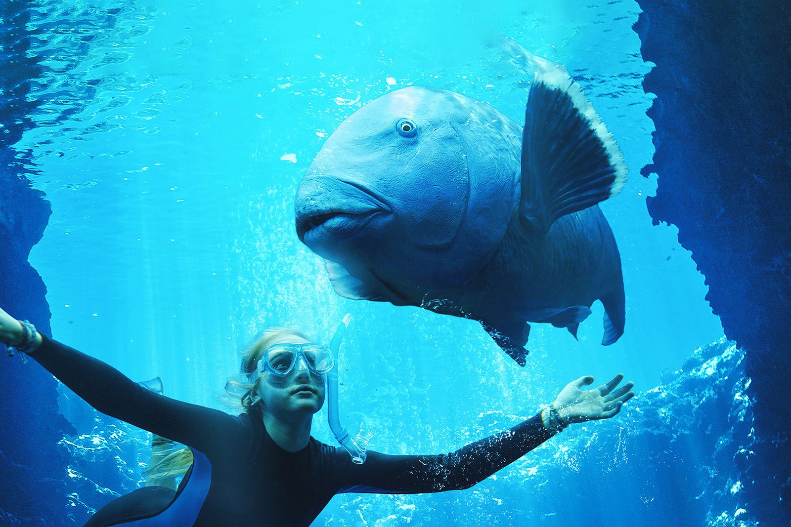 Jovem mergulhadora nada ao lado de uma grande garoupa-azul em Blueback, filme sobre o mar e a preservação ambiental.